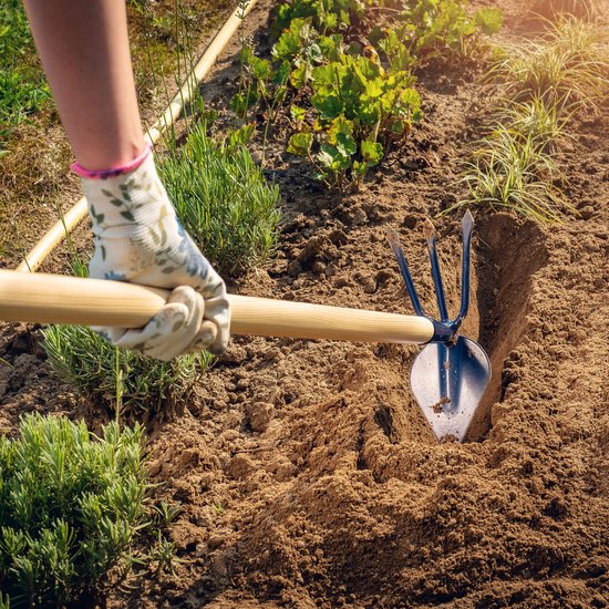 KADAX Metalen hak, tuinhak met lange steel van hout, dubbele hak voor de tuin voor het losmaken, luchten en wieden van de grond, onkruidhak (lang, hartvorm - 3 tanden, met houten steel) van KADAX — afbeelding 4