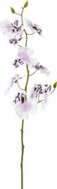 Kunstmatige witte en paarse oncidium orchideestam H58