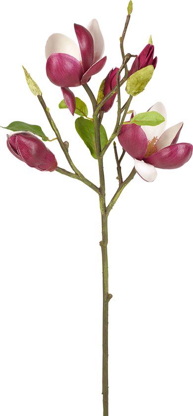 Kunstmatige witte en roze magnolia knopsteel H50