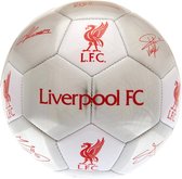 Liverpool Football Signature Silver