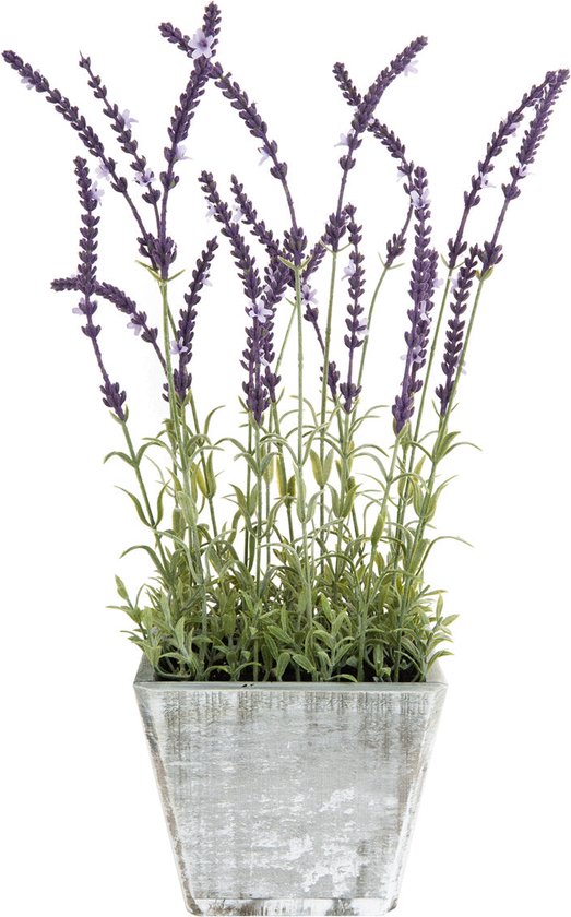 Kunst paarse en groene lavendel in pot H50