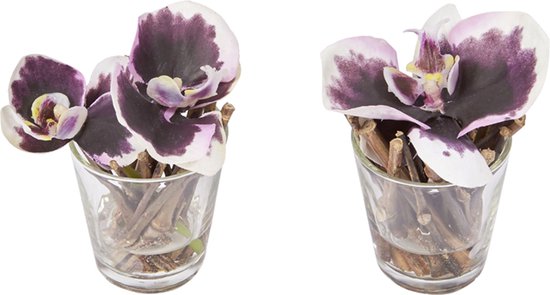 Set van 2 paarse kunstmatige waterillusie-orchideeën D10