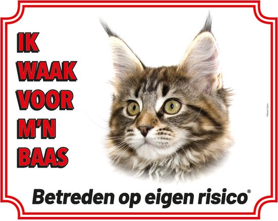 Maine Coon waakbord - Ik waak voor m'n baas