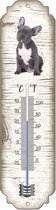 Thermomètre: Bouledogue français / race de chien / température intérieure et extérieure / -25 à + 45C