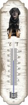 Thermometer: Hovawart | Hondenras | Temperatuur binnen en buiten | -25 tot +45C