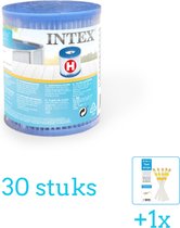 Intex Filter Cardridge - Type H - 30 stuks - Voordeelverpakking - Inclusief WAYS Testrips (1 stuks)