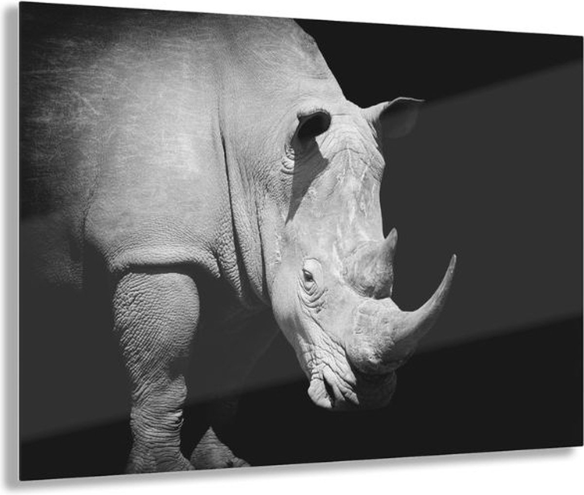 Myfinto Indoorart - Glasschilderij Neushoorn 90x60 CM - Afbeelding op plexiglas - Inclusief montagemateriaal zwart