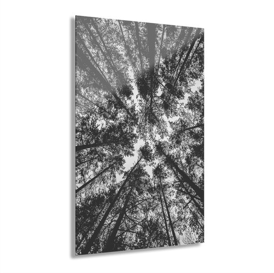 Indoorart - Glasschilderij opening in het bos - Afbeelding op plexiglas - Inclusief montagemateriaal