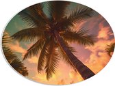 PVC Schuimplaat Ovaal - Onderaanzicht - Palmbomen - Kleuren - 56x42 cm Foto op Ovaal (Met Ophangsysteem)