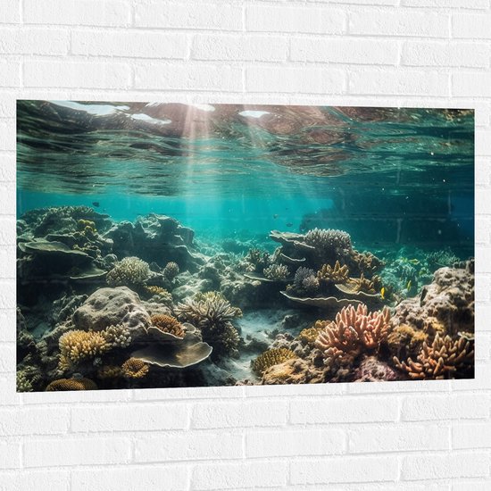 Muursticker - Onderwater - Zee - Water - Koraal - Dieren - Kleuren - Zand - 105x70 cm Foto op Muursticker