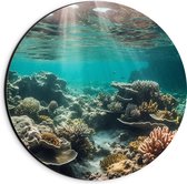 Dibond Muurcirkel - Onderwater - Zee - Water - Koraal - Dieren - Kleuren - Zand - 20x20 cm Foto op Aluminium Muurcirkel (met ophangsysteem)