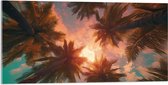 Acrylglas - Palmbomen - Kleuren - Onderaanzicht - Zon - 100x50 cm Foto op Acrylglas (Met Ophangsysteem)