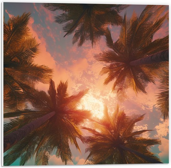 PVC Schuimplaat - Palmbomen - Kleuren - Onderaanzicht - Zon - 50x50 cm Foto op PVC Schuimplaat (Met Ophangsysteem)