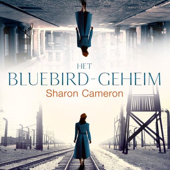 Het Bluebird geheim - cover