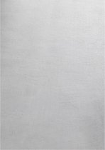 Pochon - Tapijt Sky - Zilver - 290x200x0,7 - Vloerkleed - Laagpolige Vloerkleed - Kortpolige Vloerkleed