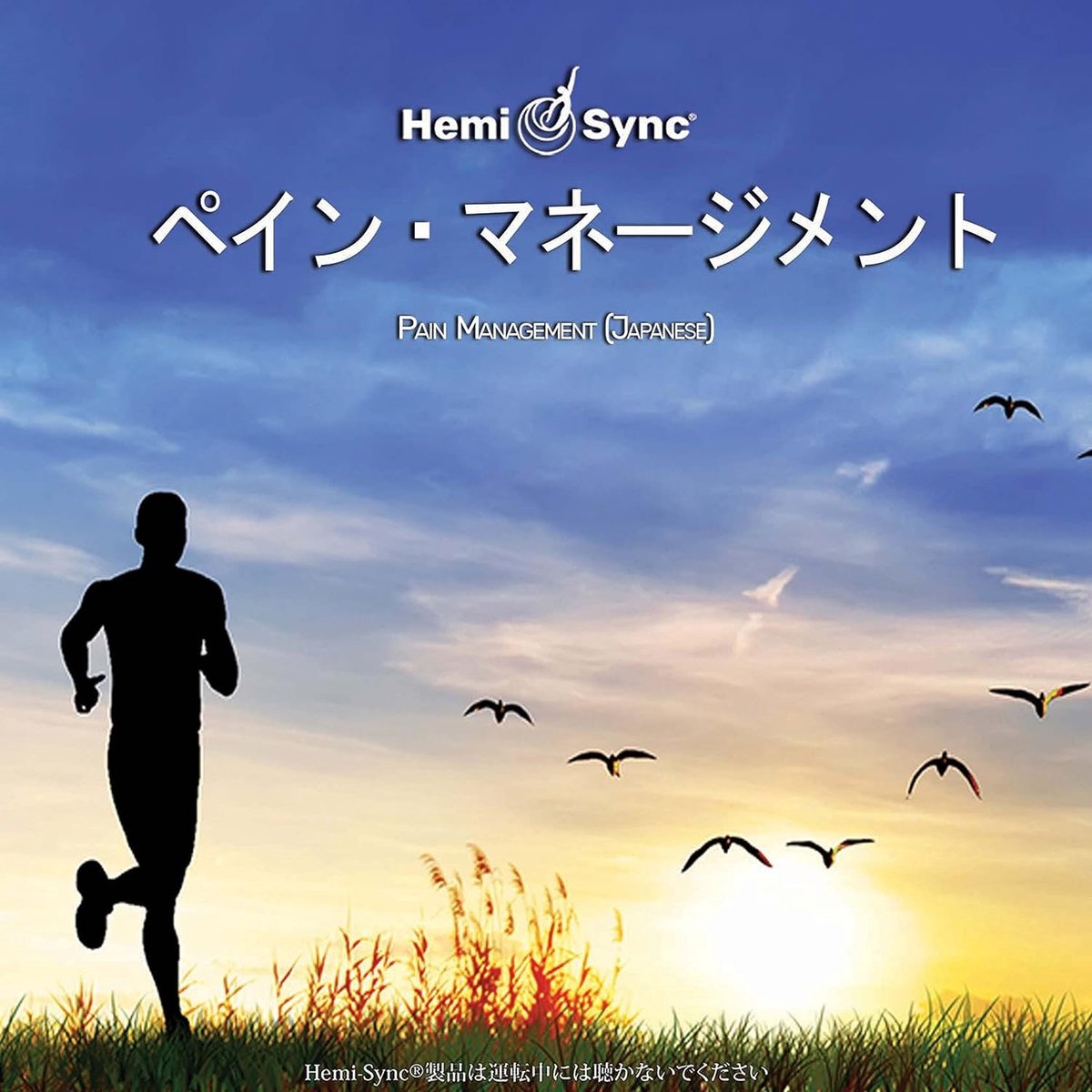 Various Artists - Pain Management (Japanese) (CD) (Hemi-Sync)