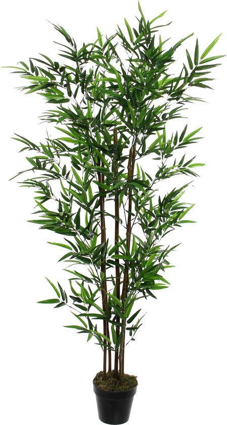 Mica Decorations Bamboe Kunstplant - H155 x Ø90 cm - Groen