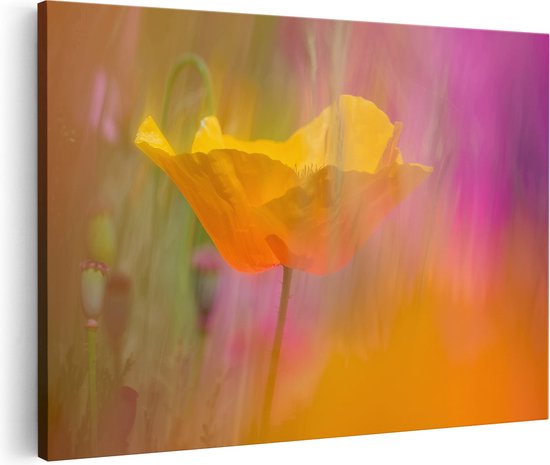 Artaza Canvas Schilderij Enkele Gele Klaproos in een Veld met Kleurrijke Bloemen - 30x20 - Klein - Foto Op Canvas - Canvas Print