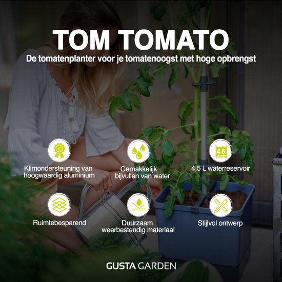Zelf Tomaten Kweken: Een Gedetailleerde Handleiding - De Hobby Kweker