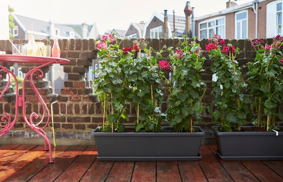 Elho Barcelona Xl 60 - Outdoor Balcony Planter
