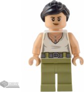 LEGO Minifiguur avt008