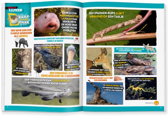 Natuur Ontdekset met vergrootglazen en insectenkijkers - 35 delig