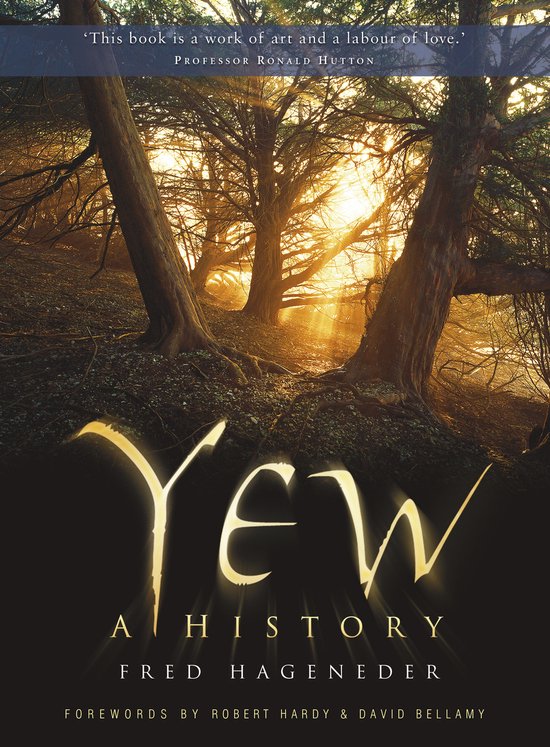 Foto: Yew