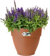 Elho Vibia Campana Rond 40 - Bloempot voor Buiten met Afwateringsgaten - 100% Gerecycled Plastic - Ø 39.0 x H 33.4 cm - Terra