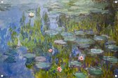 Nymphéas - Affiches Claude Monet - Affiches Nymphéas - Posters de jardin jardin Nature - Extérieur - Affiche Jardin - Décoration murale affiche jardin 60x40 cm