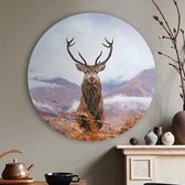 Cercle mural Cerf | Forex | Ø 60 cm | Système de suspension inclus