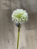 Brynxz - fleurs en soie - Perfect White - soie - 75cm