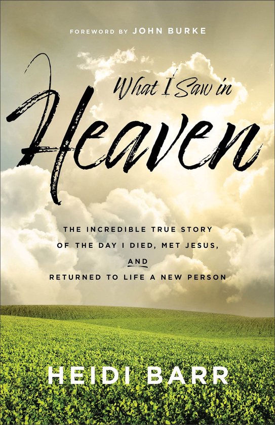What I Saw in Heaven - cover