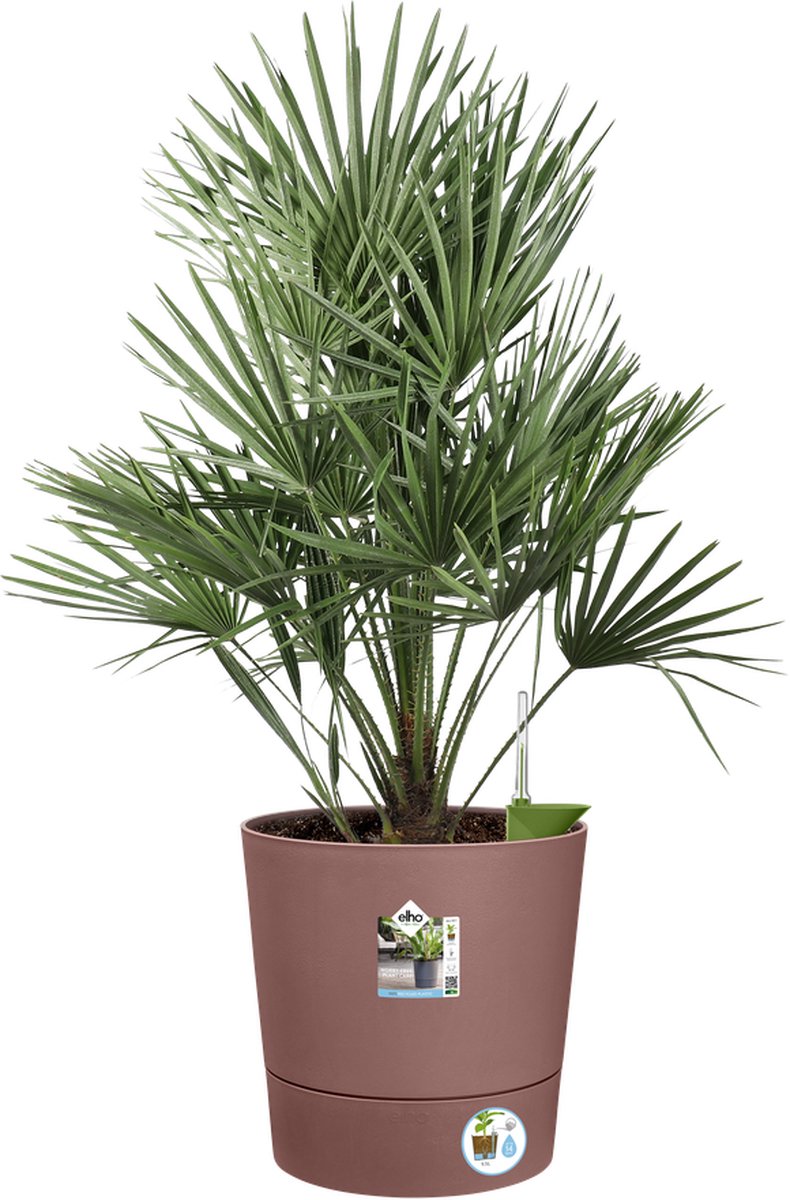 Elho Greensense Aqua Care Rond 30 Bloempot voor Binnen met Waterreservoir 100% Gerecycled Plastic Ø 29.5 x H 29.1 cm Kleibruin