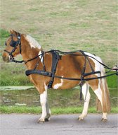Waldhausen Harnais synthétique pour un cheval, poney et shetty Shetland Zwart