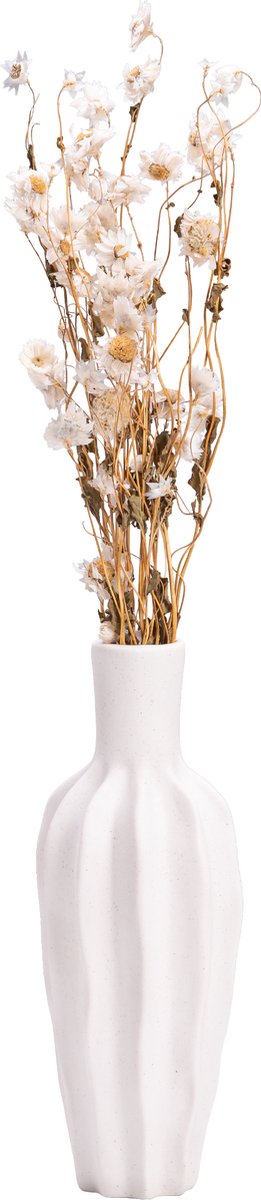 QUVIO Vaas – Vaasje – Vazen – Bloemenvaas – Droogbloemenvaas-Witte vaas – Vaas wit – Vaas keramiek – Keramische vaas – Japandi stijl – Droogbloemen vaas – Keramiek vaas – Bloemenvaasje – Keramiek - Wit