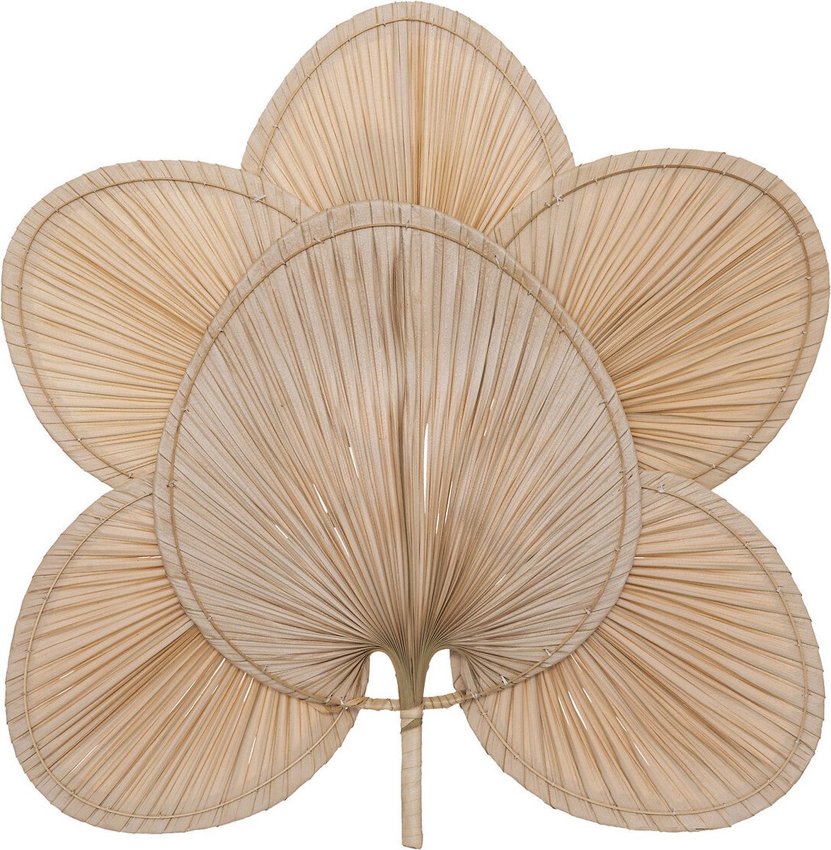 Atmosphera Selma wanddecoratie palmblad 70x4x70cm - Naturel