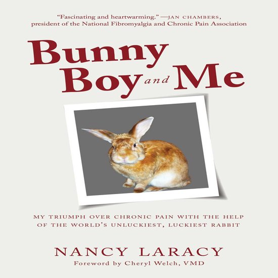Bunny Boy and Me - cover