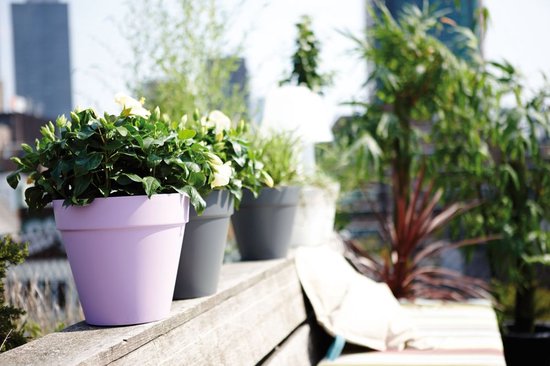 Elho Loft Urban Rond 20 - Pot De Fleurs pour Extérieur - Plastique 100% recyclé - Ø 19.3 x H 17.5 cm - Anthracite