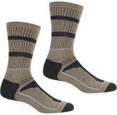 Regatta Samaris Antibacterial Three Season Use Sock Pour Homme Marron