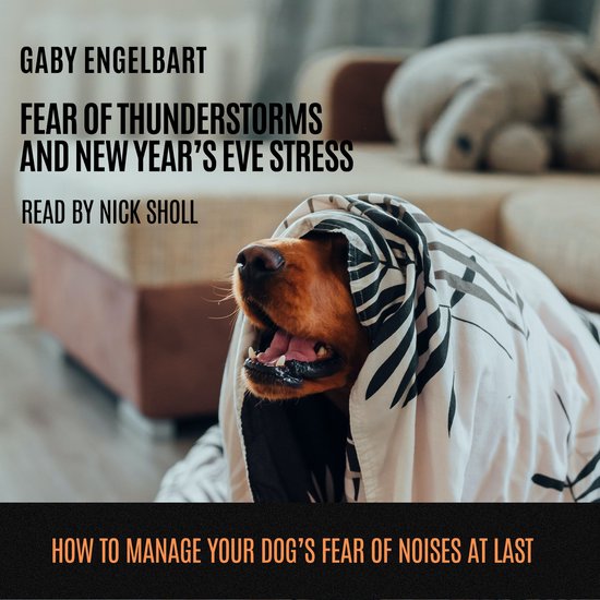 Fear of Thunderstorm and New Year's Eve Stress: How to manag ... - cover