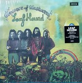 Disque vinyle éclaboussé de jaune et de vert avec "Growers of Mushroom Leaf Hound" et un arc-en-ciel avec des champignons et les membres du groupe.