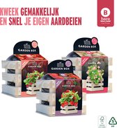 Baza Garden boxen Aardbeien set 3 stuks/ FSC hout/ BIO potgrond/ cadeau idee/ binnen tuinieren