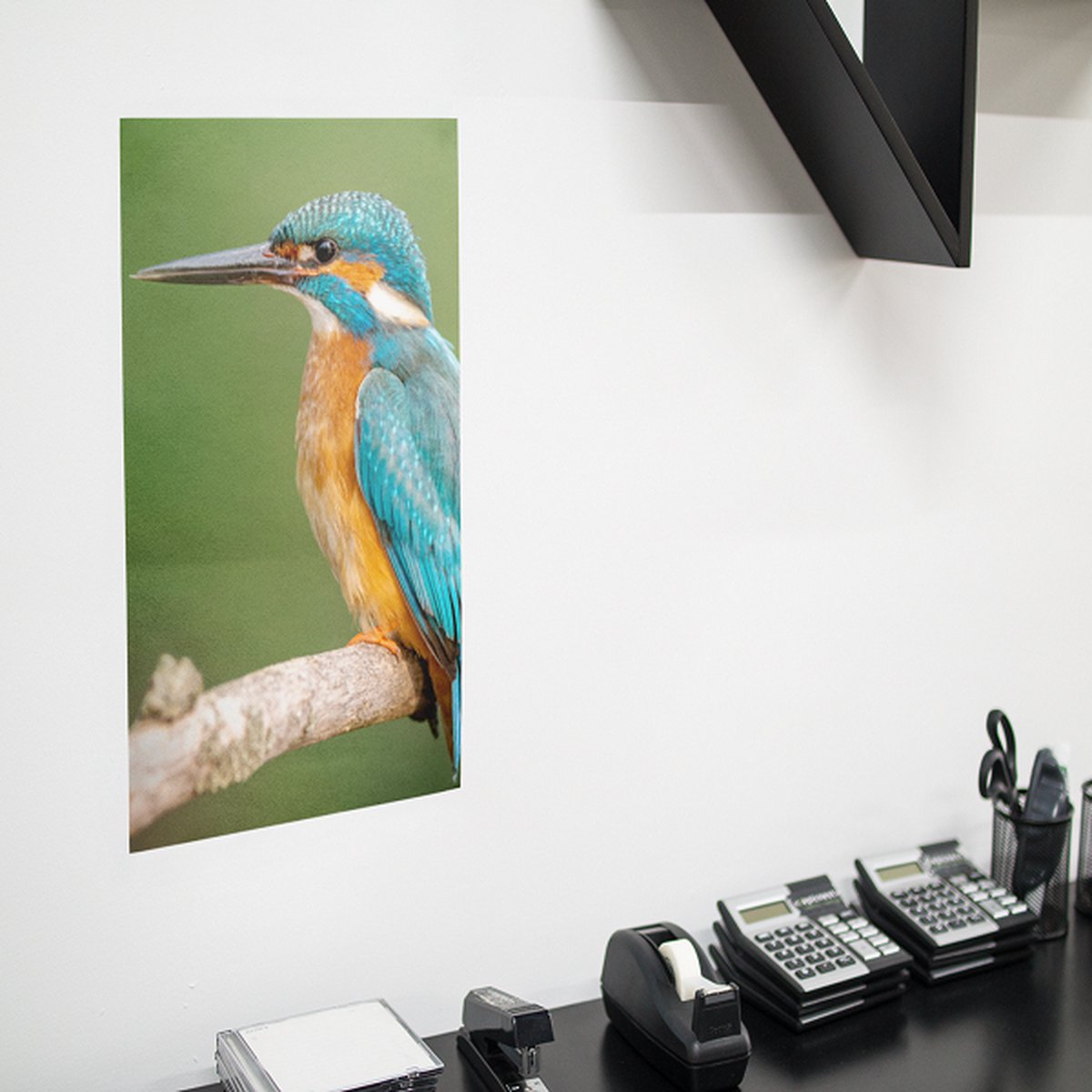 Poster IJsvogel, A1 Synaps posterpapier