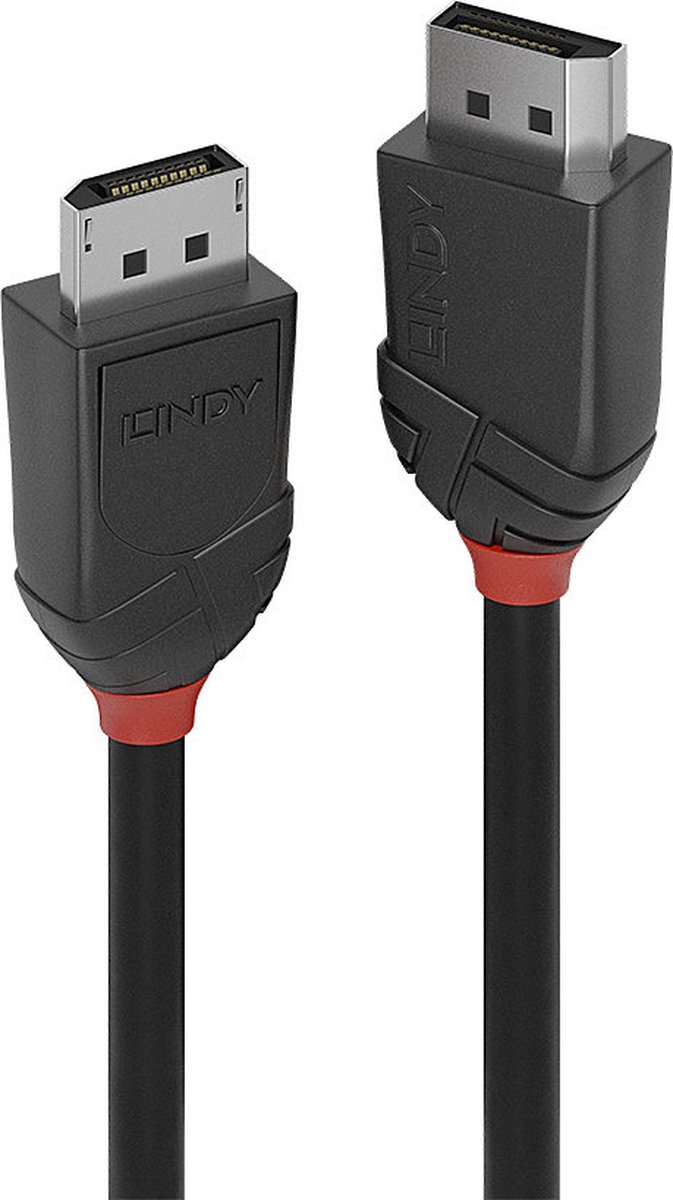 Lindy Black Line - DisplayPort kabel - DisplayPort (M) naar DisplayPort (M) - DisplayPort 1.2 - 2 m - zwart