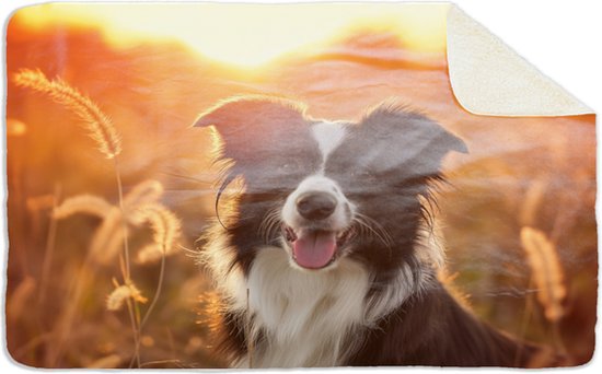 Fleecedeken Border collie, 96x146cm, Polyester Sherpa, deken met print