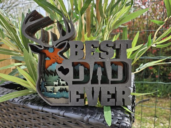 Best dad ever 8 laags - Vaderdag - Cadeautip papa