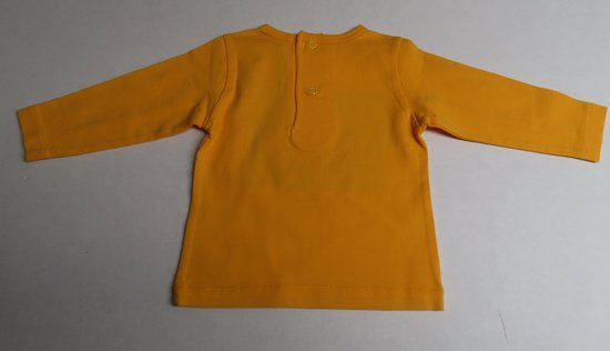 T shirt lang mouw - Meisje - Oranje - Vis - 6 maand 68