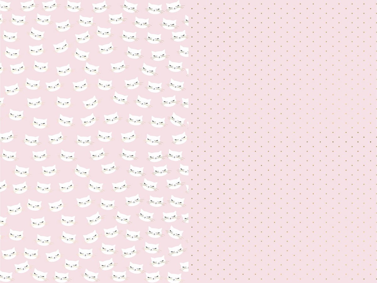 Set 2 rollen Inpakpapier Cat Bibi