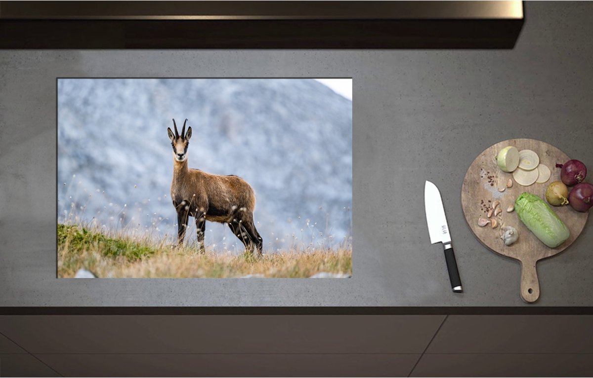 Inductieplaat Beschermer - Aankijkende Wilde Geit in het Gras aan de Rand van Bergen - 75x51 cm - 2 mm Dik - Inductie Beschermer - Bescherming Inductiekookplaat - Kookplaat Beschermer van Zwart Vinyl