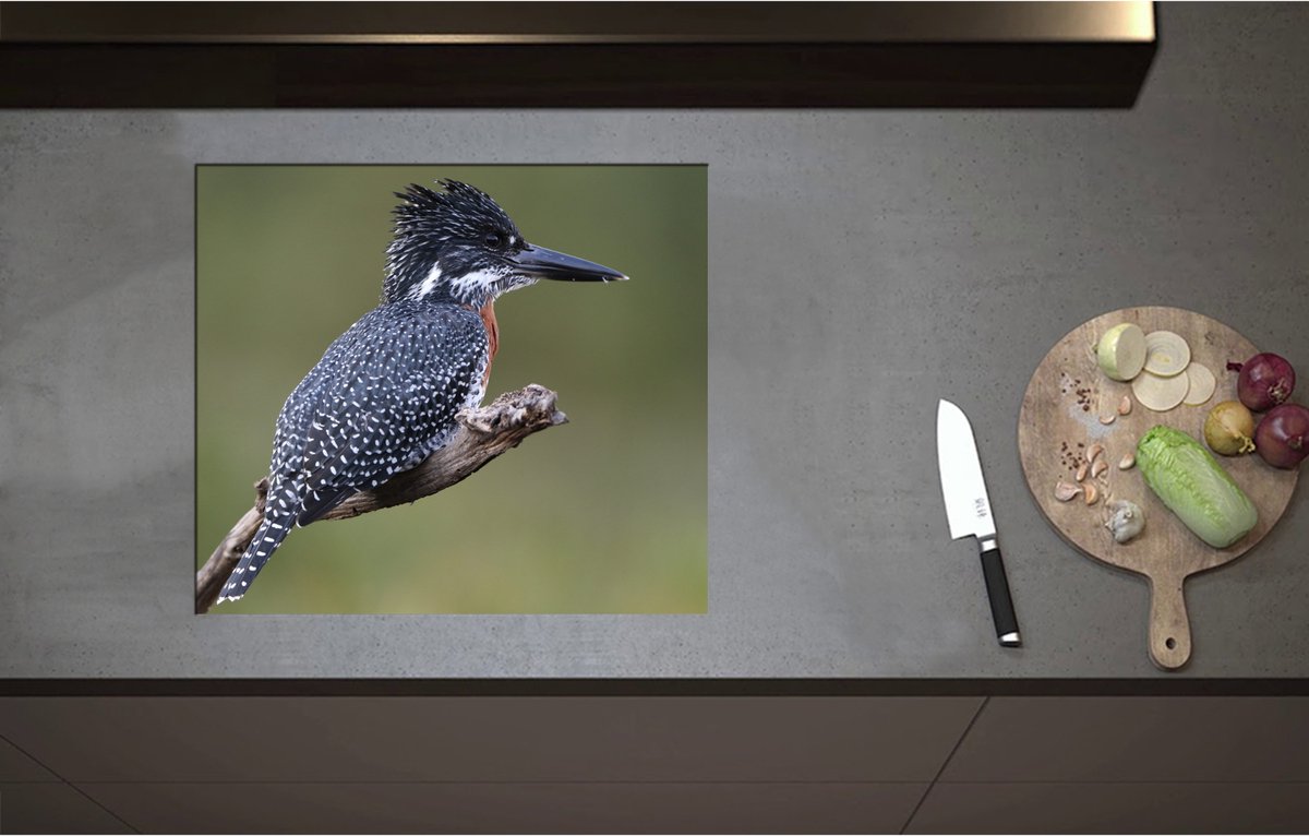 Inductieplaat Beschermer - Afrikaanse Reuzenijsvogel op Tak in de Natuur - 59x52 cm - 2 mm Dik - Inductie Beschermer - Bescherming Inductiekookplaat - Kookplaat Beschermer van Zwart Vinyl